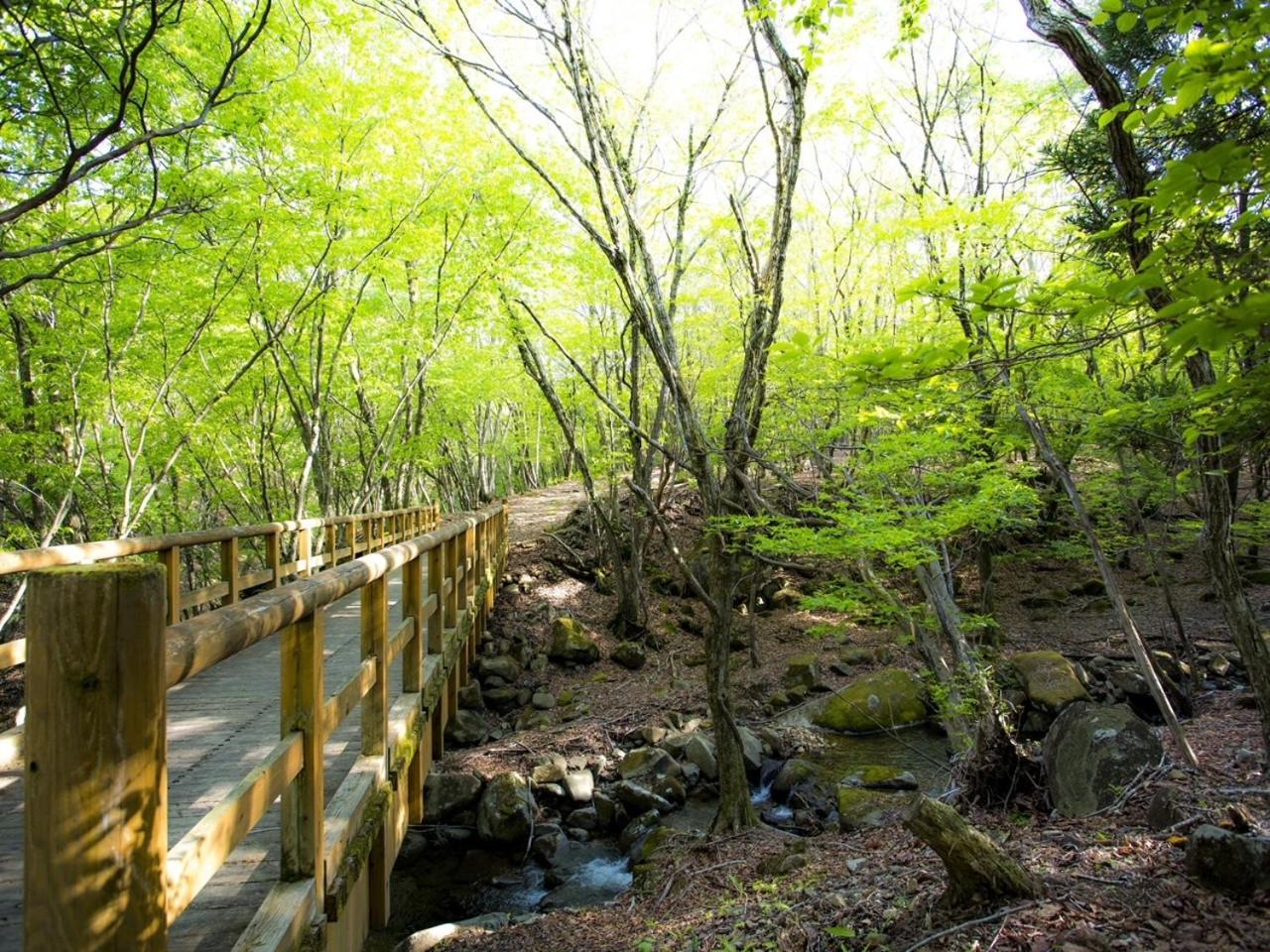 Mineyama Kogen Hotel Relaxia Kamikawa  Luaran gambar